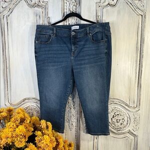 Lane Bryant Straight Fit High Rise Pedal Classic Blue Denim Jeans